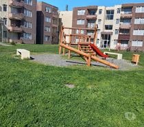 Fotos de SE ARRIENDA DPTO EN CONDOMINIO CISS, LA VEGA HUA