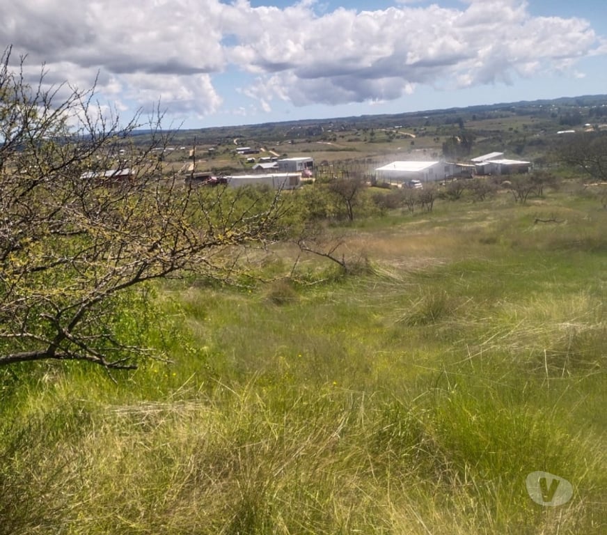 Parcelas en Venta Cardenal Caro Litueche - Fotos de PARCELA 5000MTS2 LITUECHE