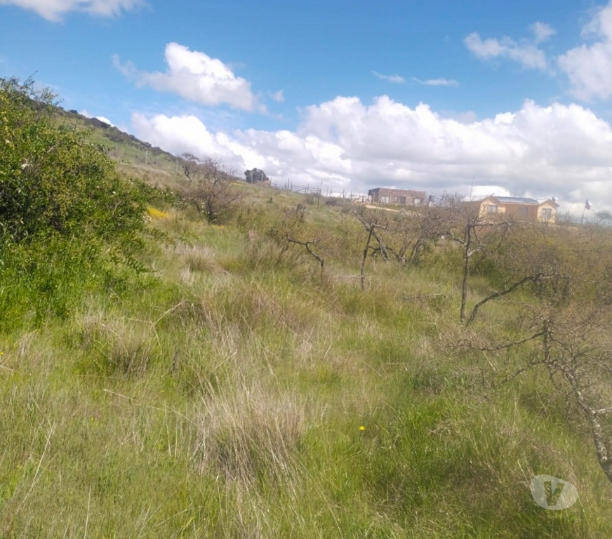 Parcelas en Venta Cardenal Caro Litueche - Fotos de PARCELA 5000MTS2 LITUECHE