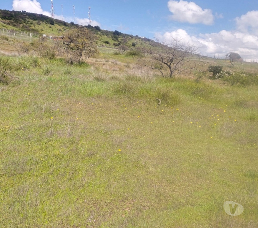 Parcelas en Venta Cardenal Caro Litueche - Fotos de PARCELA 5000MTS2 LITUECHE