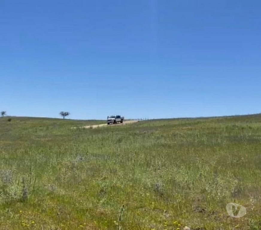 Parcelas en Venta Cardenal Caro Litueche - Fotos de PARCELA LOS BOLDOS DE LITUECHE