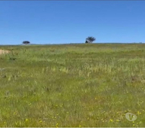 PARCELA LOS BOLDOS DE LITUECHE