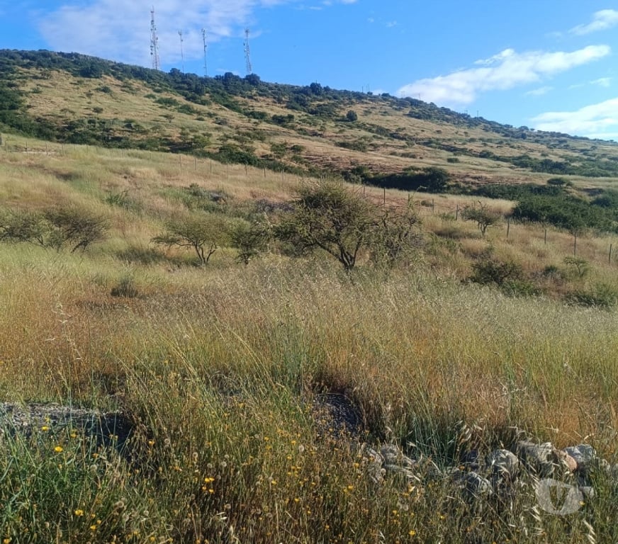 Parcelas en Venta Cardenal Caro Litueche - Fotos de PARDCELA 5000MTS2 CON CASA LITUECHE