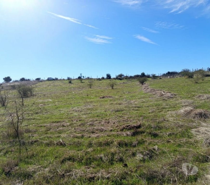 Parcelas en Venta Cardenal Caro Litueche - Fotos de PARCELA 5000MTS2 LITUECHE