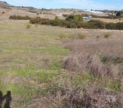 Terrenos en Venta Litueche Cardenal Caro - Fotos de PARCELA 5000MTS2 LITUECHE
