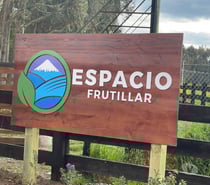 Se venden parcelas en Frutillar - Espacio 1
