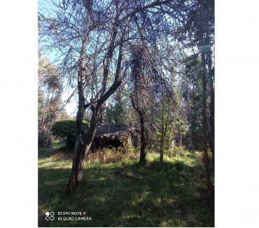 Terrenos en Venta Cobquecura Ñuble - Fotos de EL TOYO, COBQUECURA, 2.5 ha.