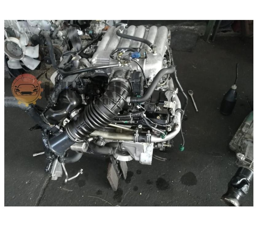 Motores Japoneses, Importadora Hikari Iquique